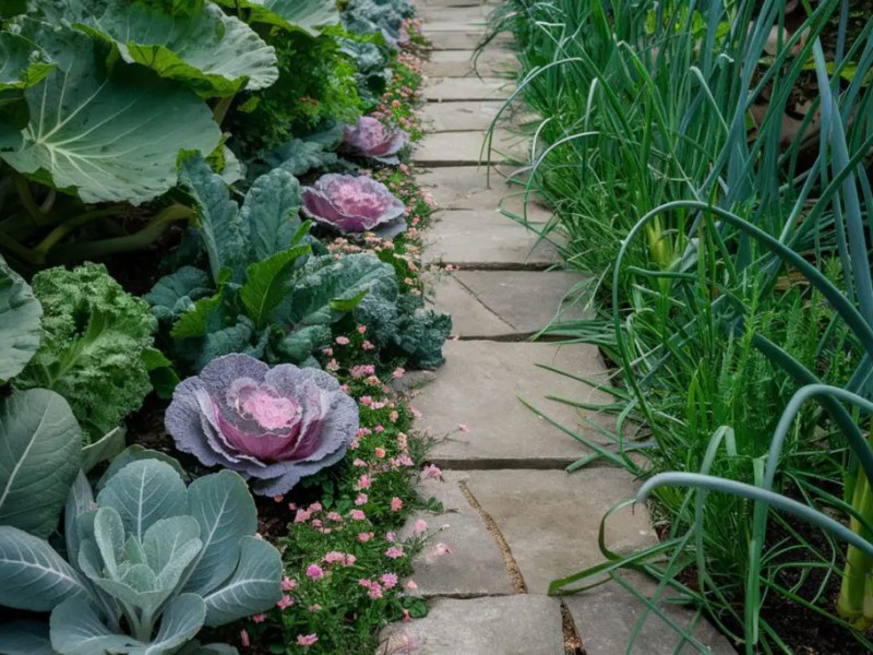 Confiez votre potager à un pro : les avantages d&rsquo;un horticulteur à vos côtés&nbsp;!